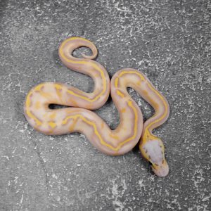 Banana OD / Enchi Parkway (HI)