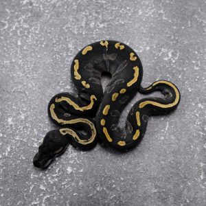 GHI Phantom Black Head 100% DH Hypo Clown