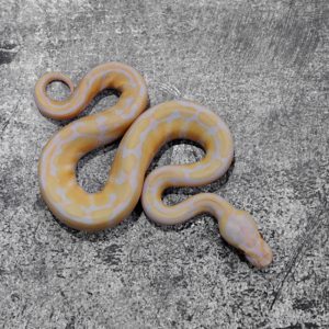Pastel Enchi Candy